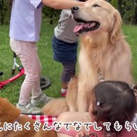 子供たちのナデナデを堪能