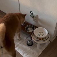 お姉ちゃん帰宅時のけいちゃん6