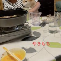 「どうしてこんなことに…」