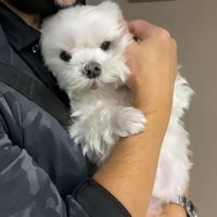 パパさんの帰りを待つナナくん2