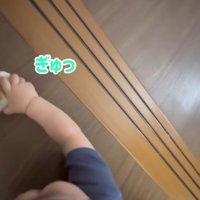どうしても触れ合いたい