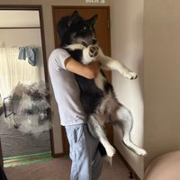 抱っこするのも大変そう（笑）