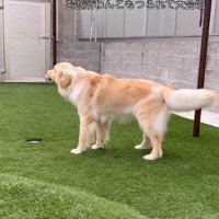 ちょっぴり怖がり！？