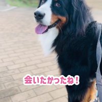 「今日来ない…？」