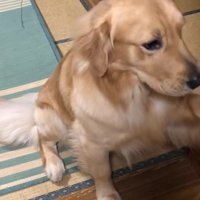 一切無駄のない動き