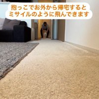 床に下ろしてもらうと…
