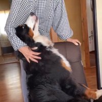 子守唄を歌ってくれています♪