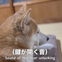 玄関で物音が…