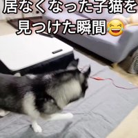 「早く見つけなきゃ！！」