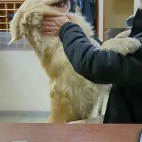 「この人なら絶対に大丈夫」