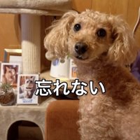 レオくんの気持ちが伝わってきます