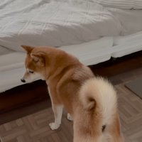 切ない姿に愛を感じます