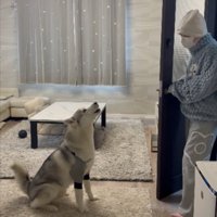 指示があるまで