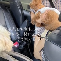 腕にぴょんっ