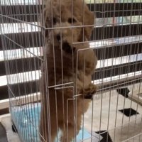 生後2か月のカムくん3