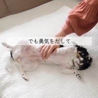 しずくちゃんの変化7