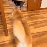 ついにおばあちゃんが到着！