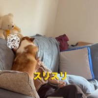 エルモちゃんのおもてなし4