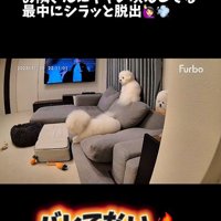 バレないで家を出られるか挑戦3