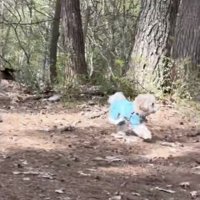 「ママ、どこぉ」