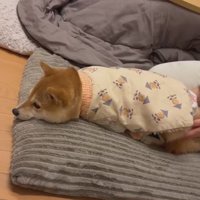 「そろそろ寝よう」