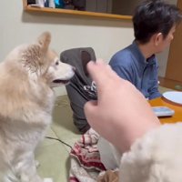 ケンタくんに指示を出すと…