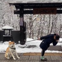 別の日も散歩拒否