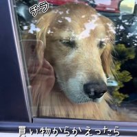 運転席を陣取っていた！！
