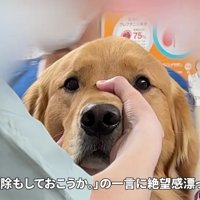 耳掃除も頑張りました