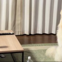 不安そうに見守るも…