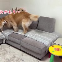 うにくんにごあいさつ