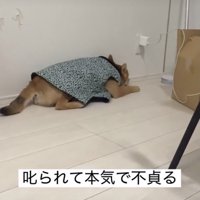 ふてくされてる！