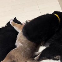 体をねじこませて…
