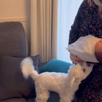 赤ちゃんに近づくエルくん