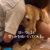 泣いている息子さんときなこちゃん