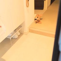 生首