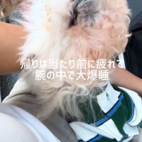 車でスヤスヤ…