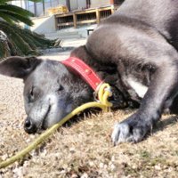 音に耳を澄ませている！？