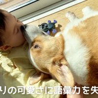 「ちょっと背中借りてるよ」とお鼻でタッチ♪
