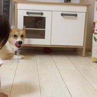 チラリッ