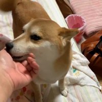 ペロペロ…