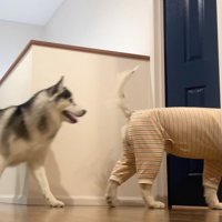 あっという間に寝室へ！！