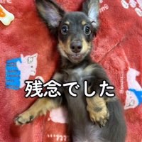 うにくんのお迎え前後のギャップ4