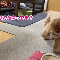 ようやく気付いて…