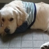 ギンちゃんの表情の変化5