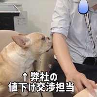 交渉担当のスキルが頭抜けてる