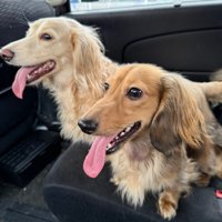 可愛いツーショット♡