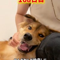 足を枕にしてゴロン♡