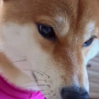 不満そうな表情…