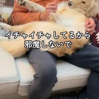 誰にも近寄ってほしくない